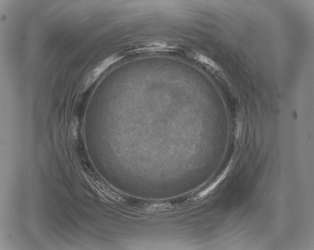 X0000062171161200512091423