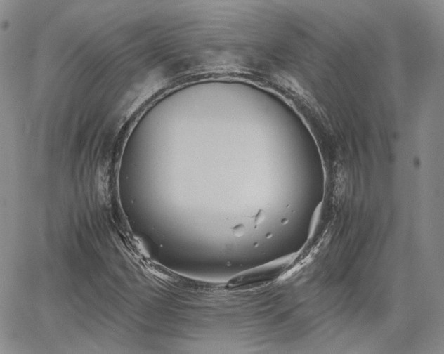 X0000062171162200512091423