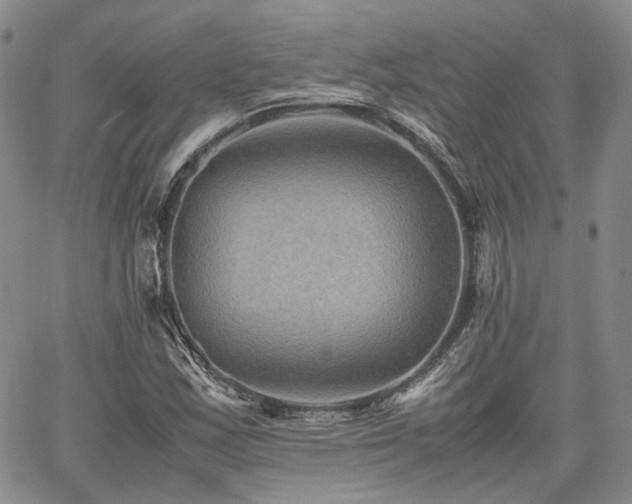 X0000062171163200512091423