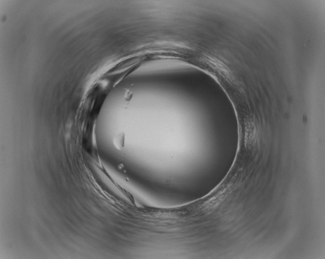 X0000062171164200512091423