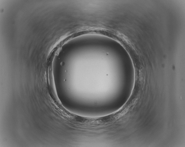 X0000062171165200512091423