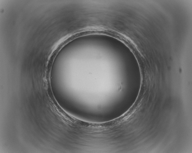 X0000062171168200512091422