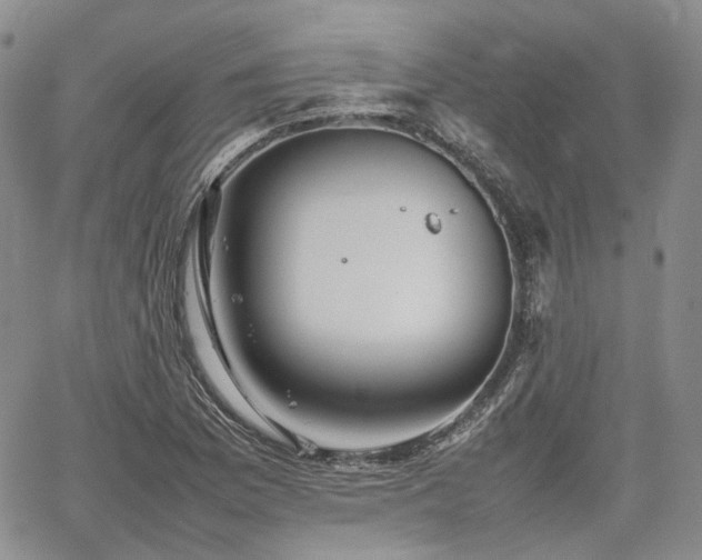 X0000062171169200512091422