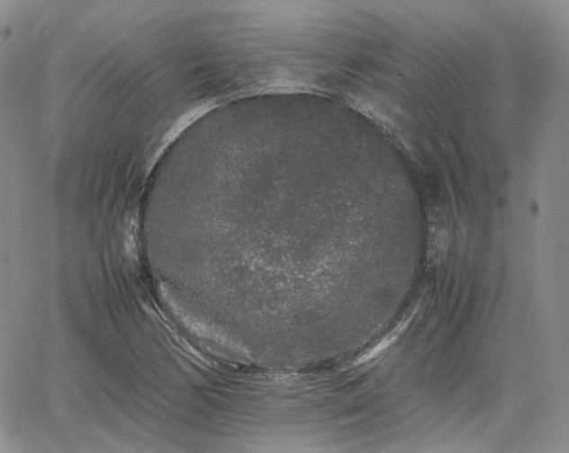 X0000062171170200512091422