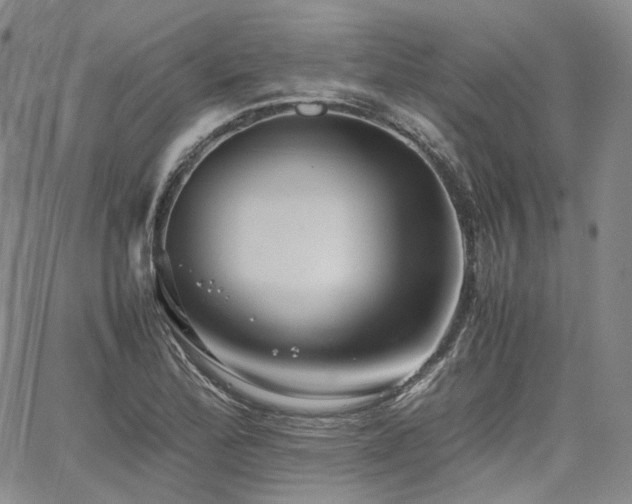 X0000062171172200512091422