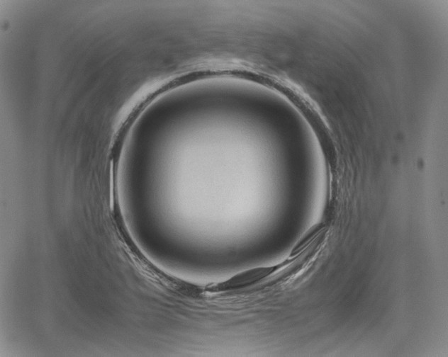 X0000062171175200512091422