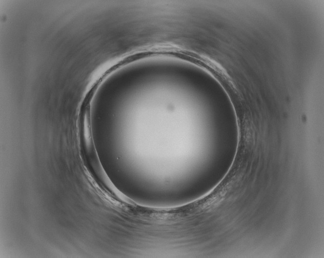 X0000062171176200512091422