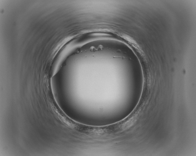 X0000062171177200512091422