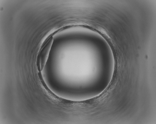 X0000062171181200512091422