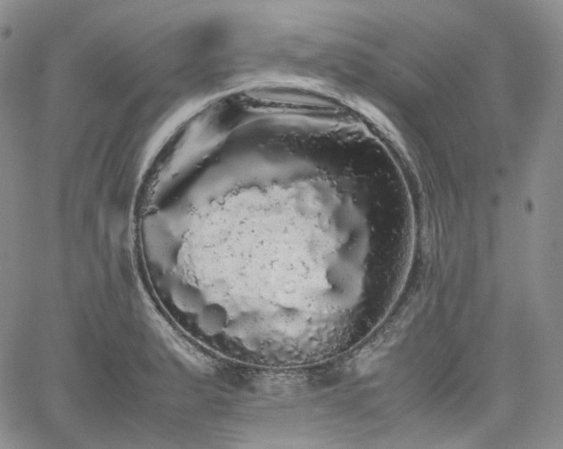 X0000062171183200512091422