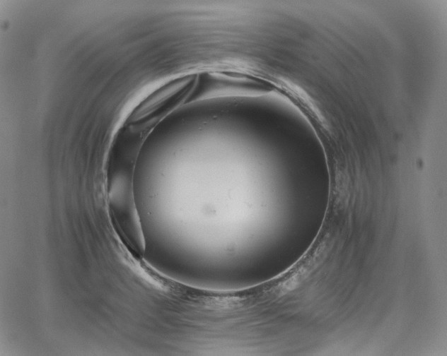 X0000062171184200512091422