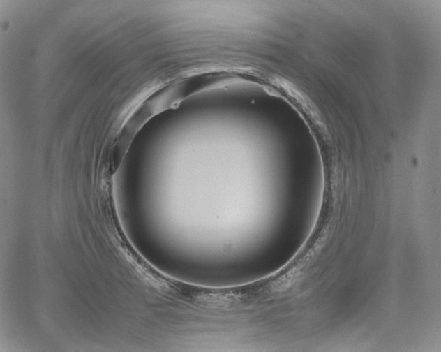 X0000062171185200512091422