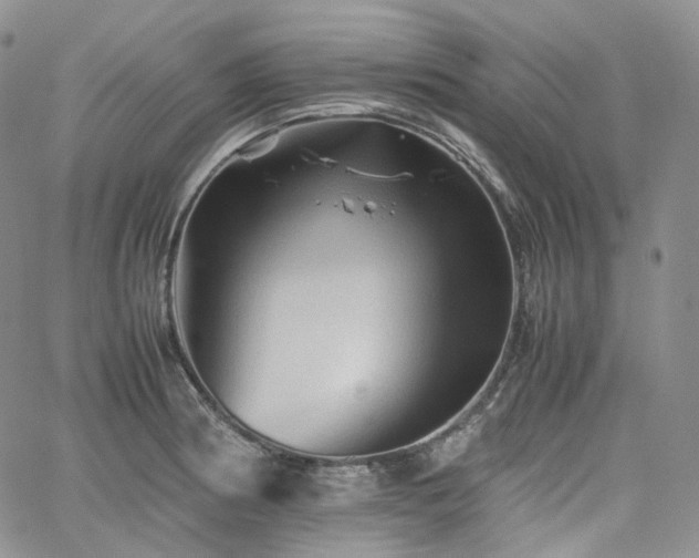 X0000062171186200512091422