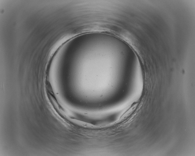 X0000062171187200512091422