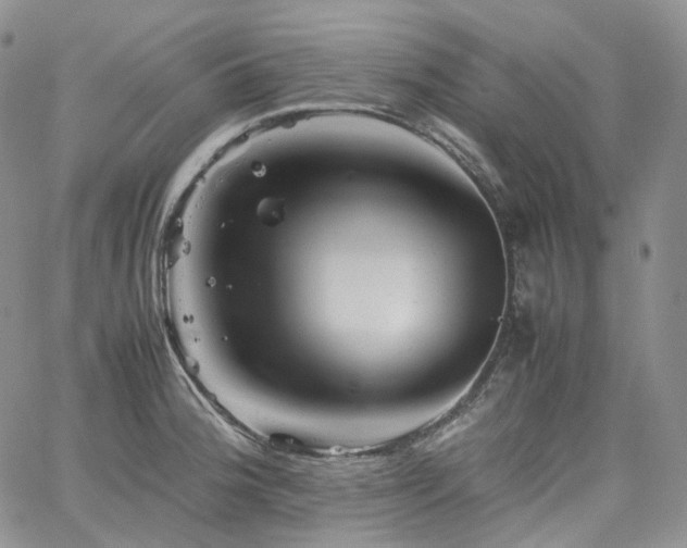 X0000062171188200512091422