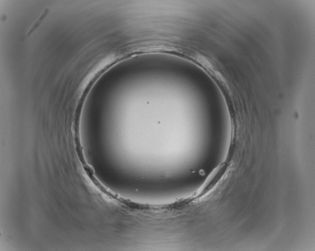 X0000062171189200512091422