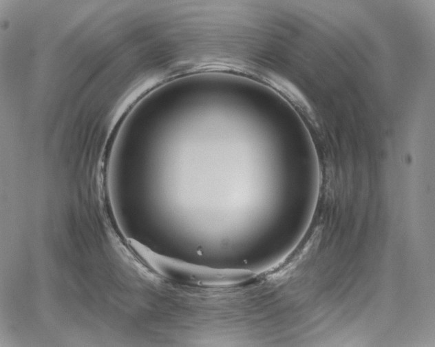 X0000062171190200512091422