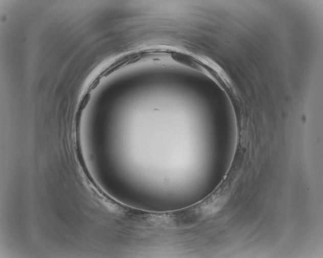 X0000062171191200512091422