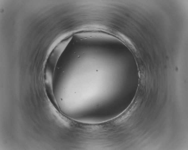 X0000062171192200512091422