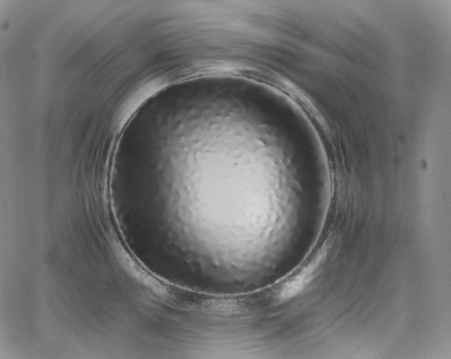 X0000062171194200512091422