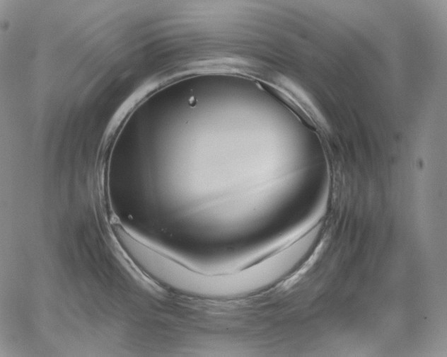 X0000062171196200512091422