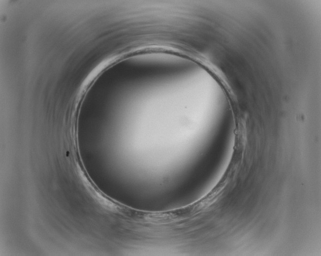 X0000062171199200512091422