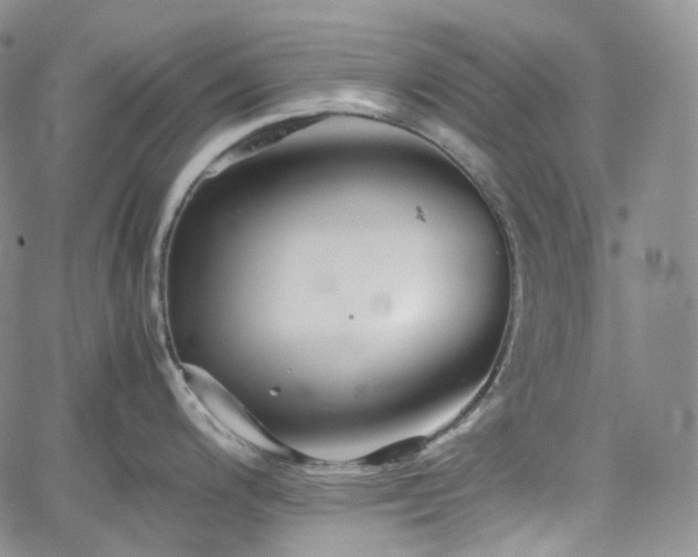 X0000062171200200512091422