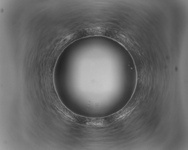 X0000062171201200512091421