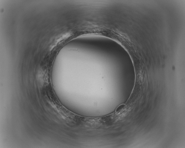 X0000062171205200512091421