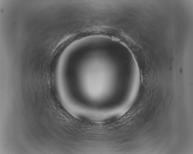 X0000062171206200512091421