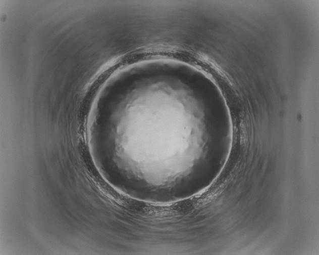 X0000062171213200512091421