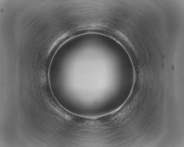 X0000062171218200512091421