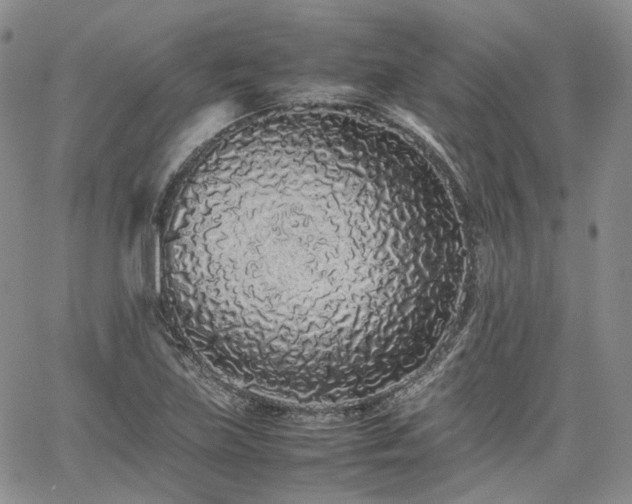 X0000062171219200512091421