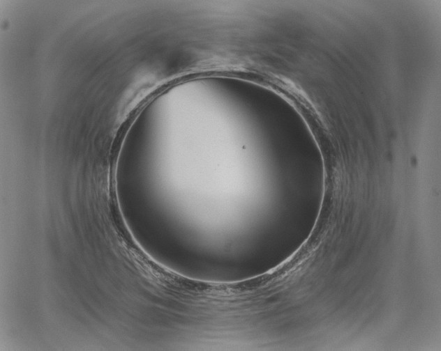 X0000062171220200512091421
