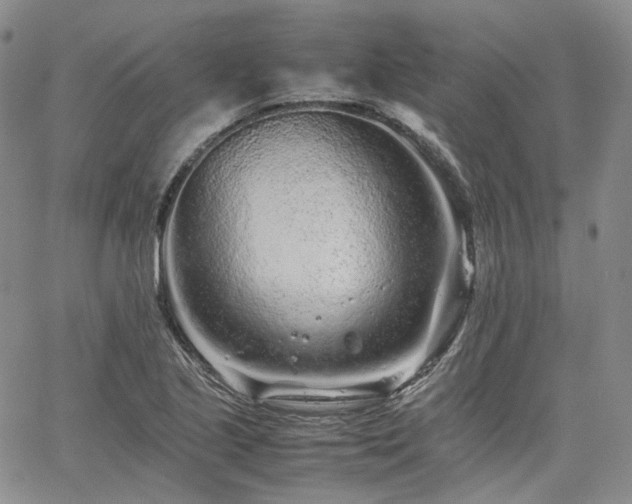 X0000062171221200512091421