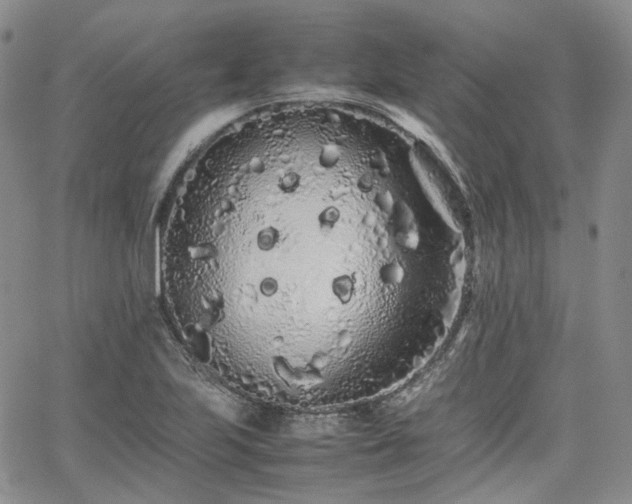 X0000062171223200512091422