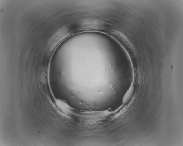 X0000062171225200512091422