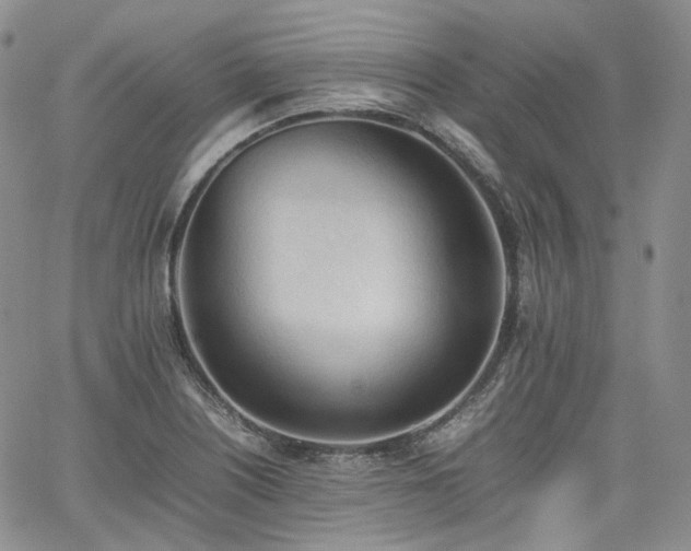 X0000062171226200512091422