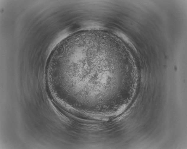 X0000062171229200512091422