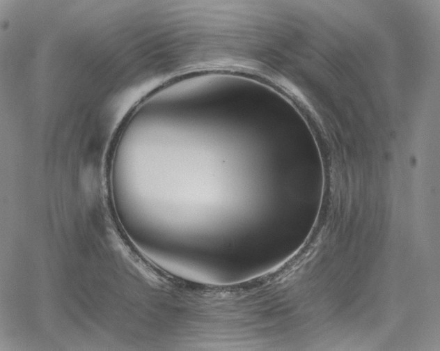 X0000062171230200512091422