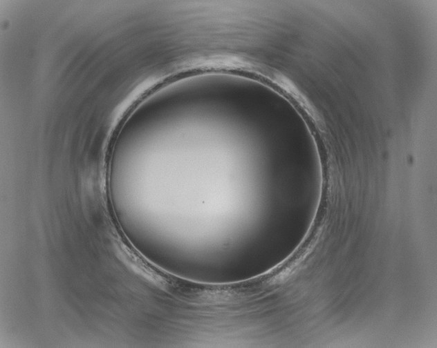 X0000062171232200512091422