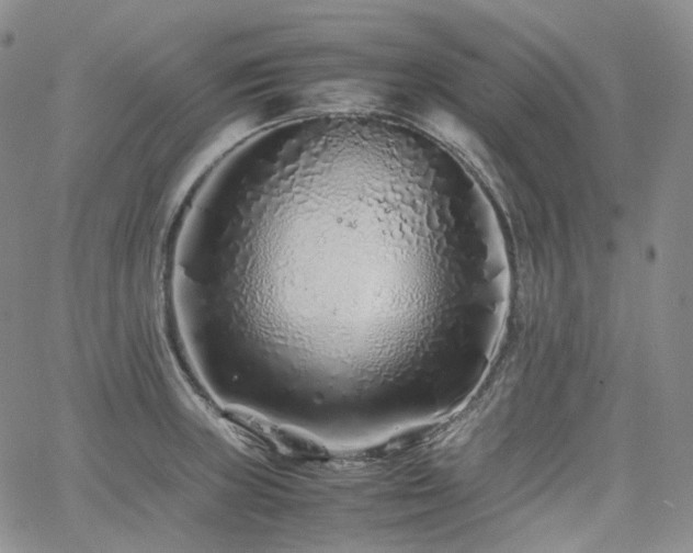 X0000062171235200512091422