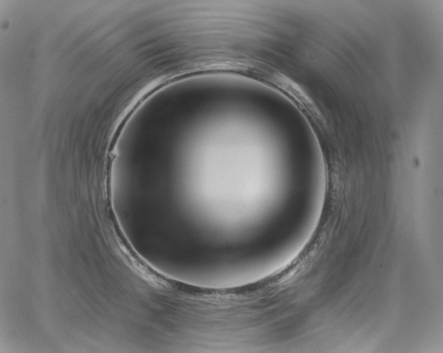 X0000062171236200512091422