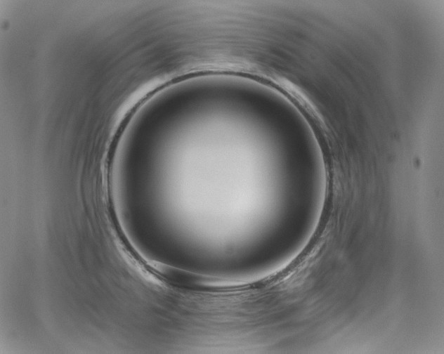 X0000062171238200512091422