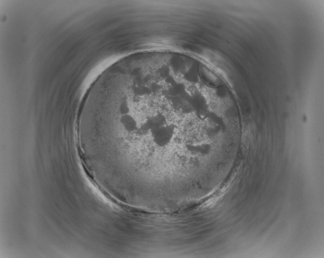 X0000062171239200512091422