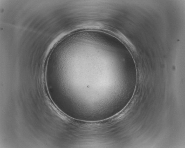 X0000062171240200512091422