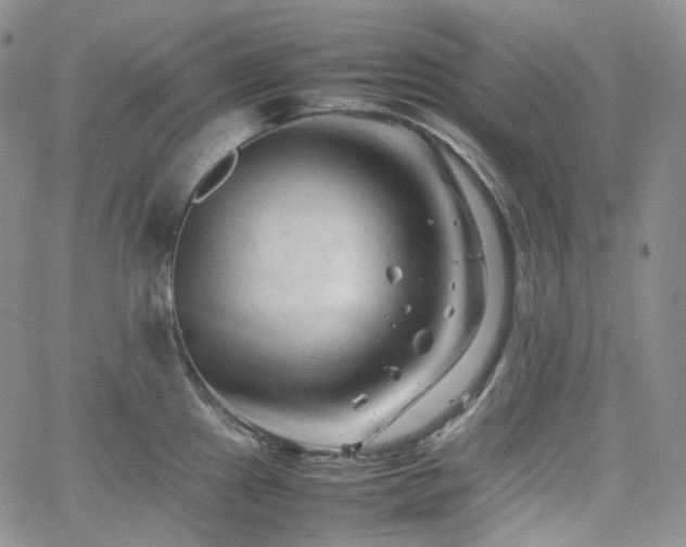 X0000062171241200512091422