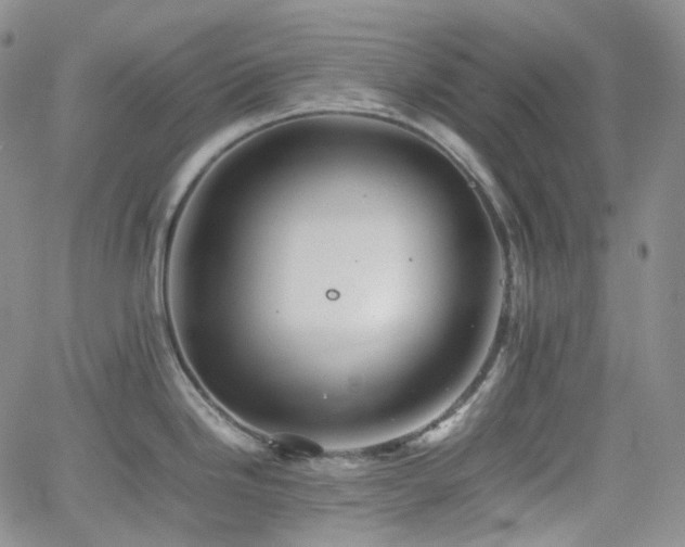 X0000062171246200512091422