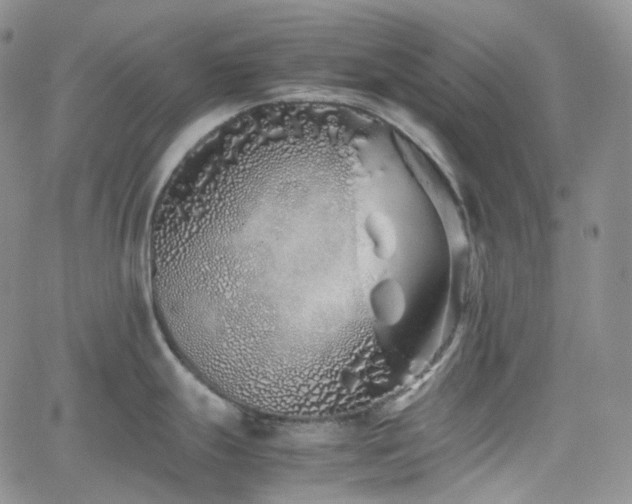 X0000062171247200512091422