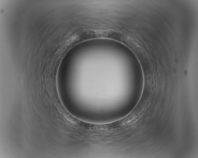 X0000062171249200512091421